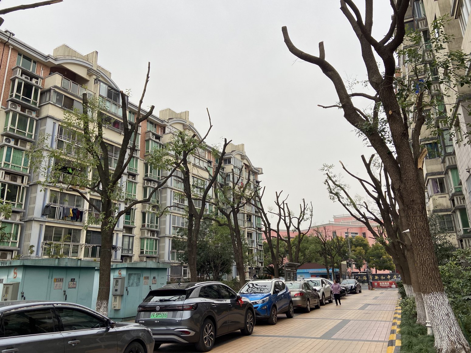 小区树木修剪之争:官方认定"不过度",居民惋惜"不美观"_新浪财经_新浪