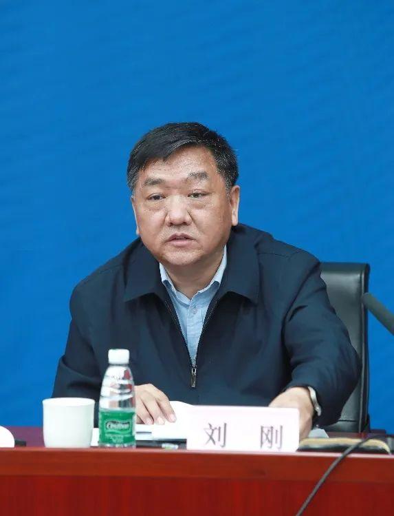 新华社研究院院长刘刚