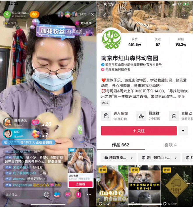 　　南京红山森林动物园抖音账号