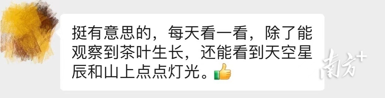 　　开播前凤凰当地人对慢直播充满期待