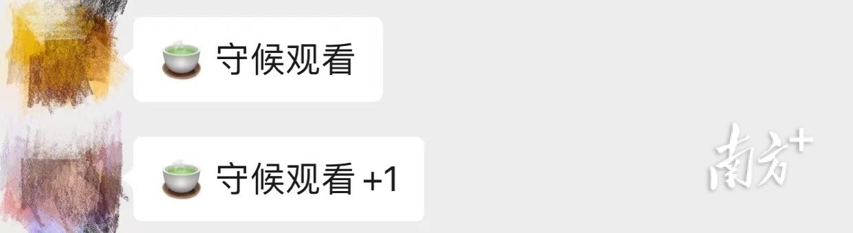 　　开播前凤凰当地人对慢直播充满期待