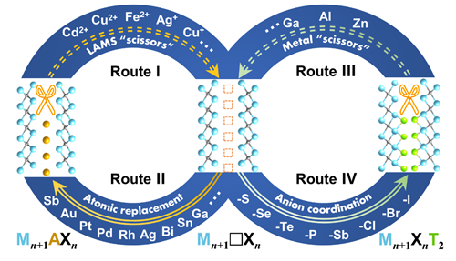 图1 “化学剪刀”辅助的层状过渡金属碳化物的结构编辑策略示意图