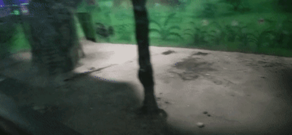 锐丽对我家月季上的蚜虫真有用吗？会不会白花钱？