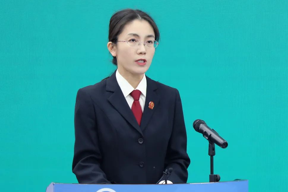 北京互联网法院综合审判二庭庭长刘书涵通报案件审理情况.