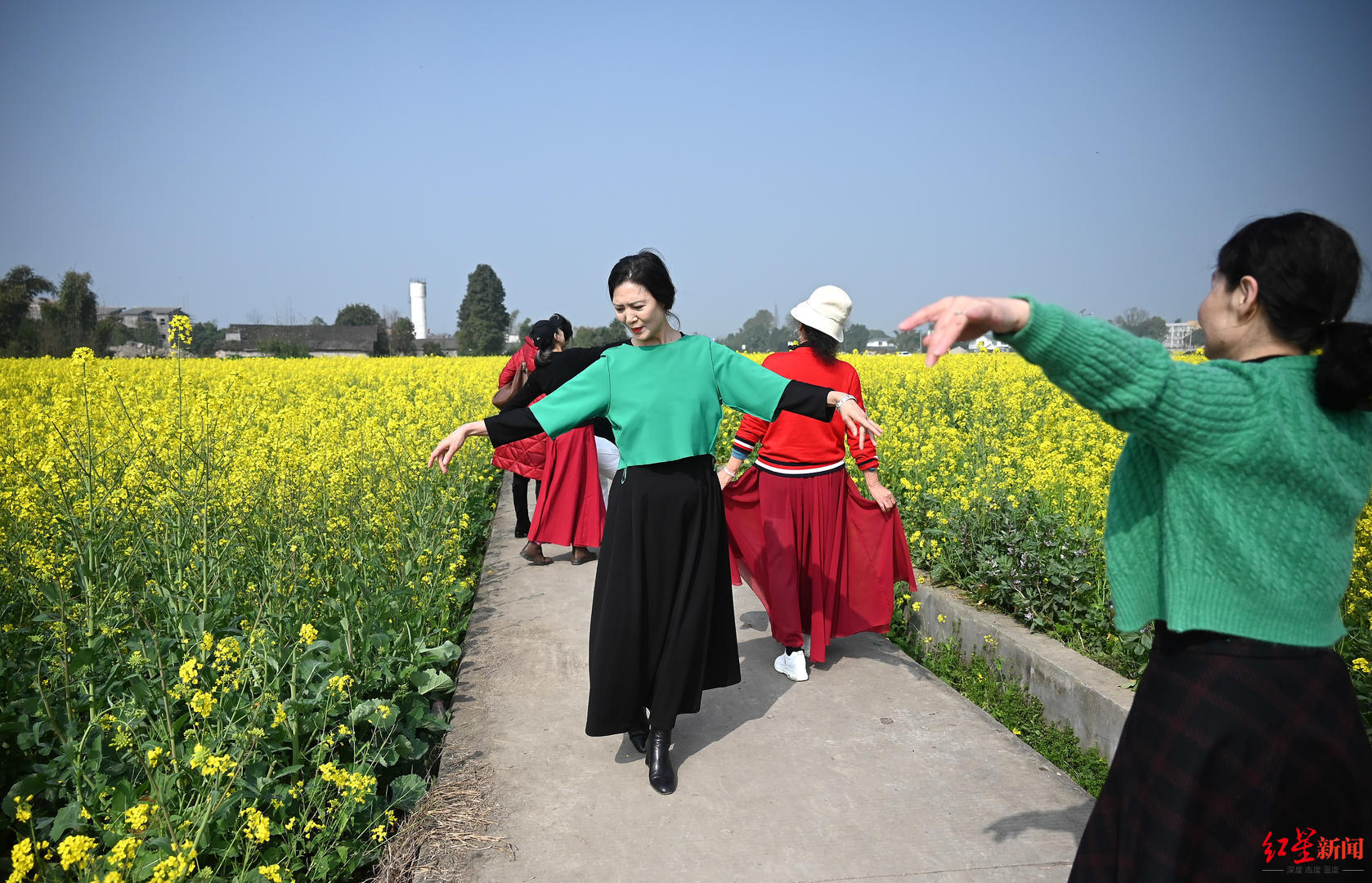 ▲崇州市五星村，游客在油菜花田间翩翩起舞。