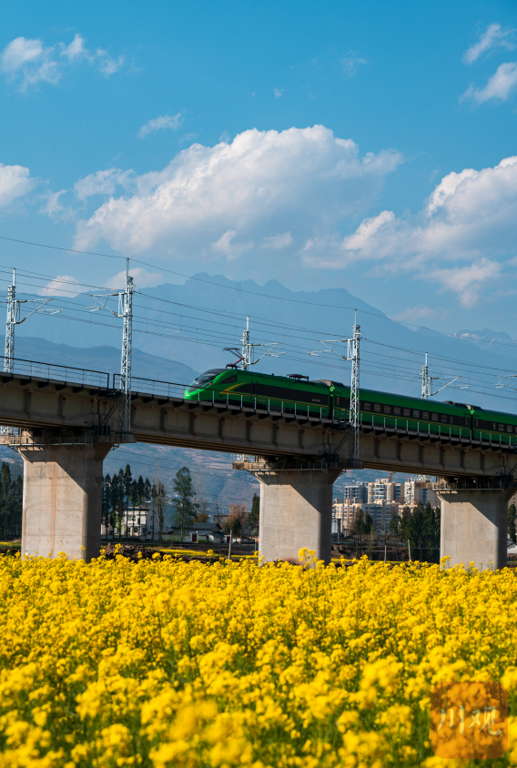c视频|搭乘"开往春天的列车",穿越大凉山油菜花海|油菜花_新浪财经