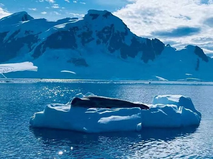 2020 年 2 月，退休几个月，蛋挞在南极旅游拍下的冰川与冰河。