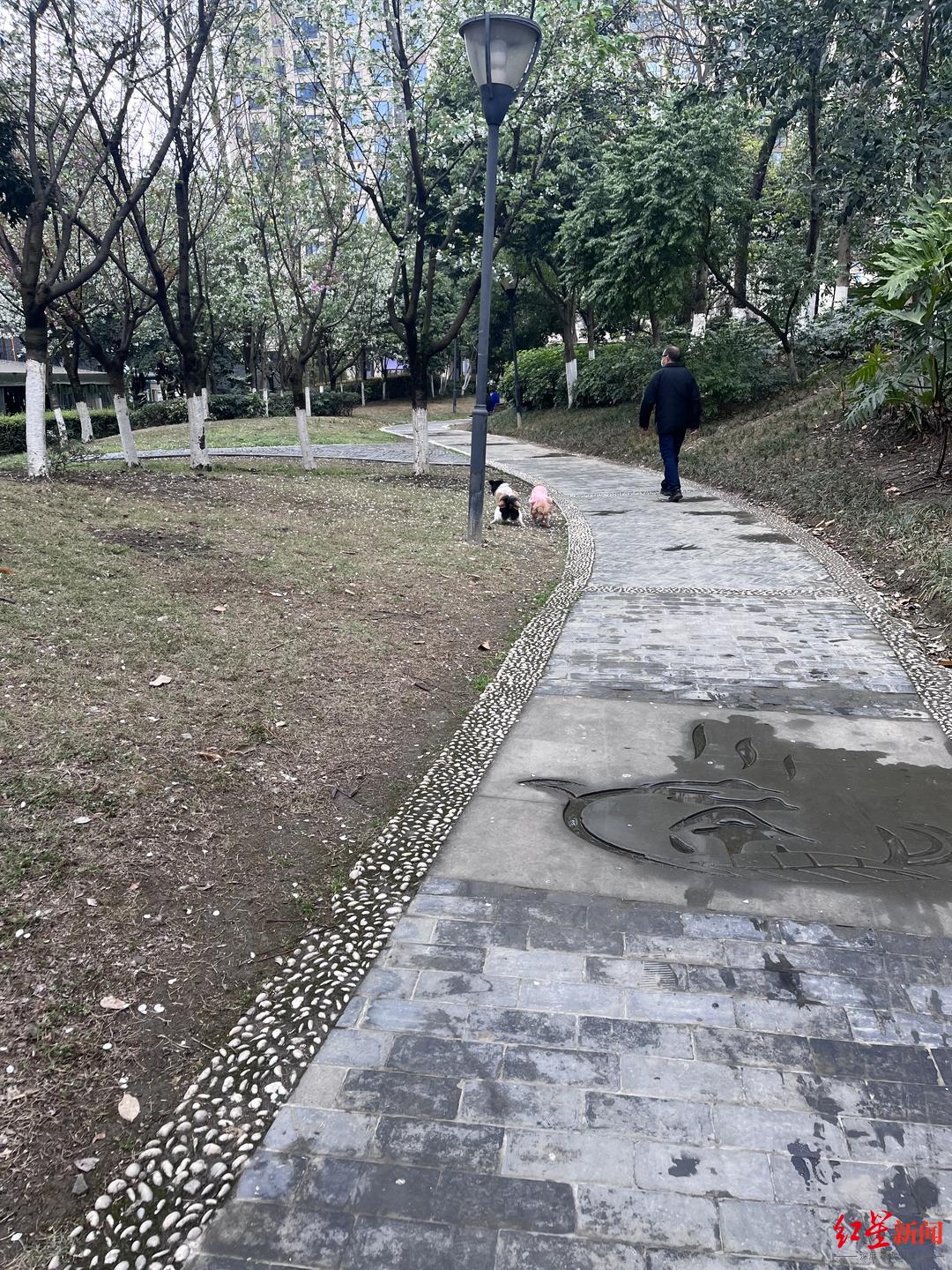 不文明行为曝光台|不牵狗绳,不清理粪便,垃圾乱扔,如此逛公园煞风景
