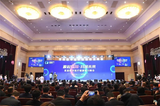 　　首届数字医疗健康银川峰会现场