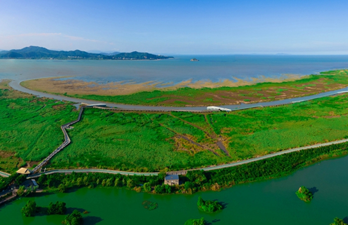 闽江河口国家级湿地保护区(福州晚报供图)