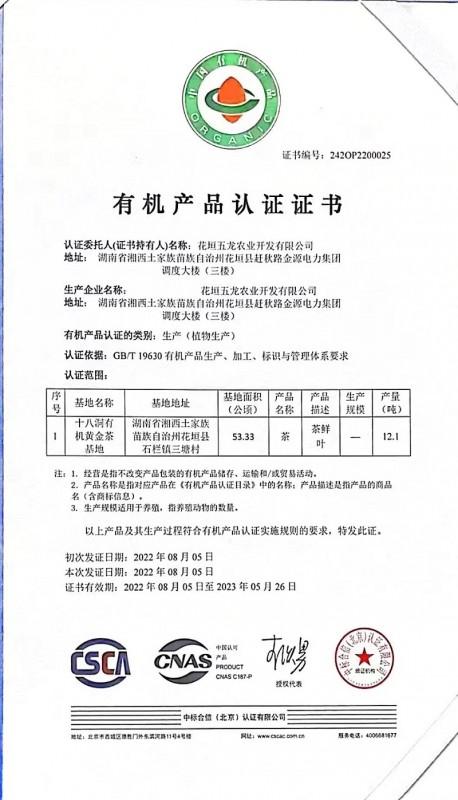 　　(花垣十八洞黄金茶获得有机产品认证)