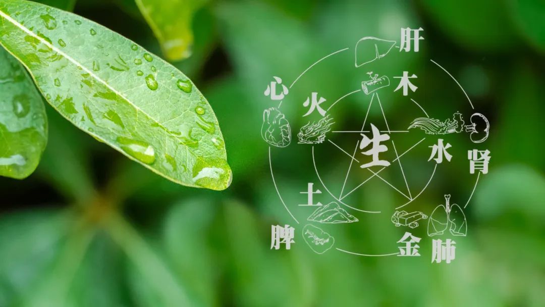 世界艾乡资讯-东方本位 中医六大养生理念之顺应自然-健康资讯-世界艾