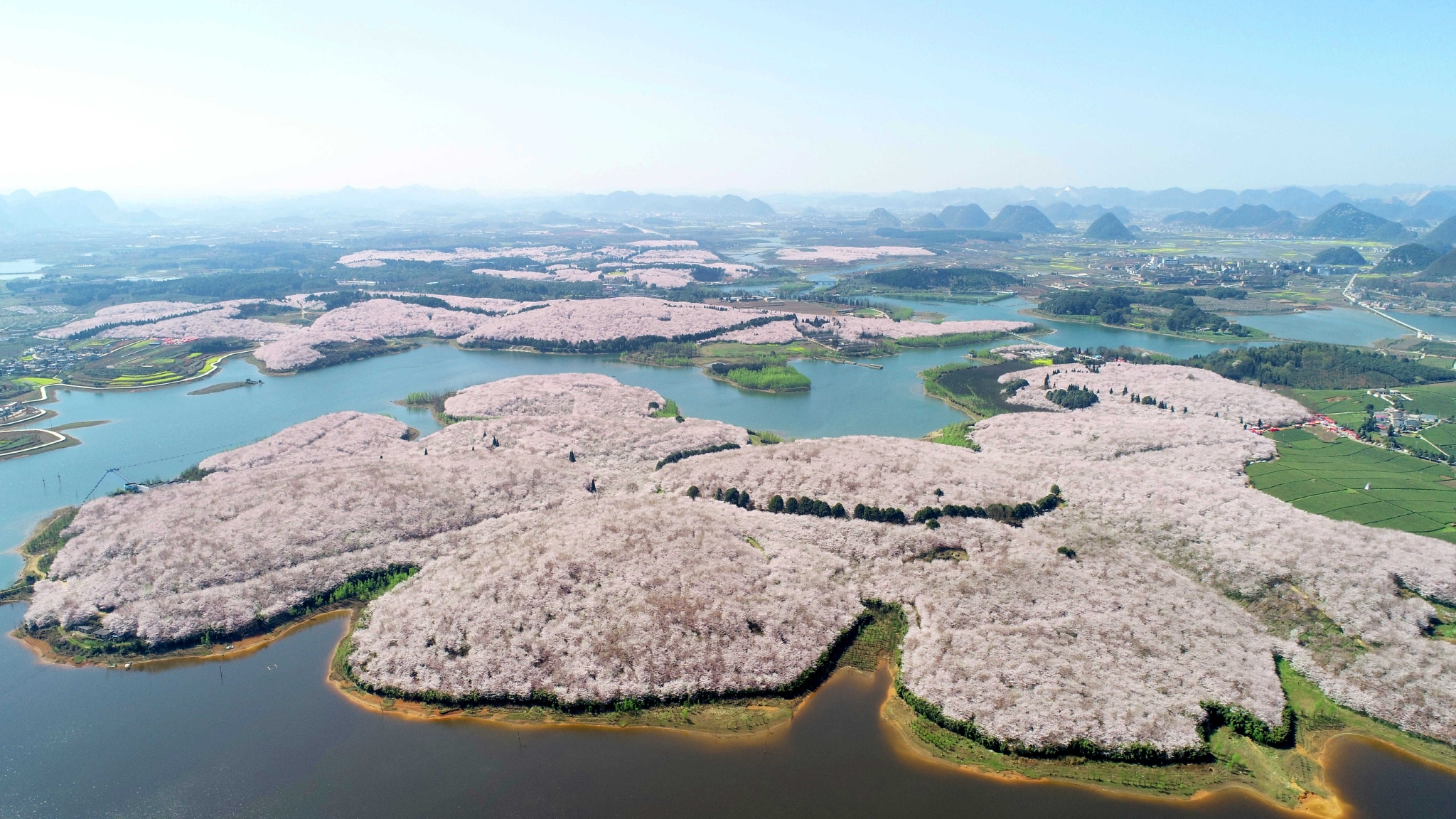 (安顺市平坝区纪委监委供 余兰 摄)