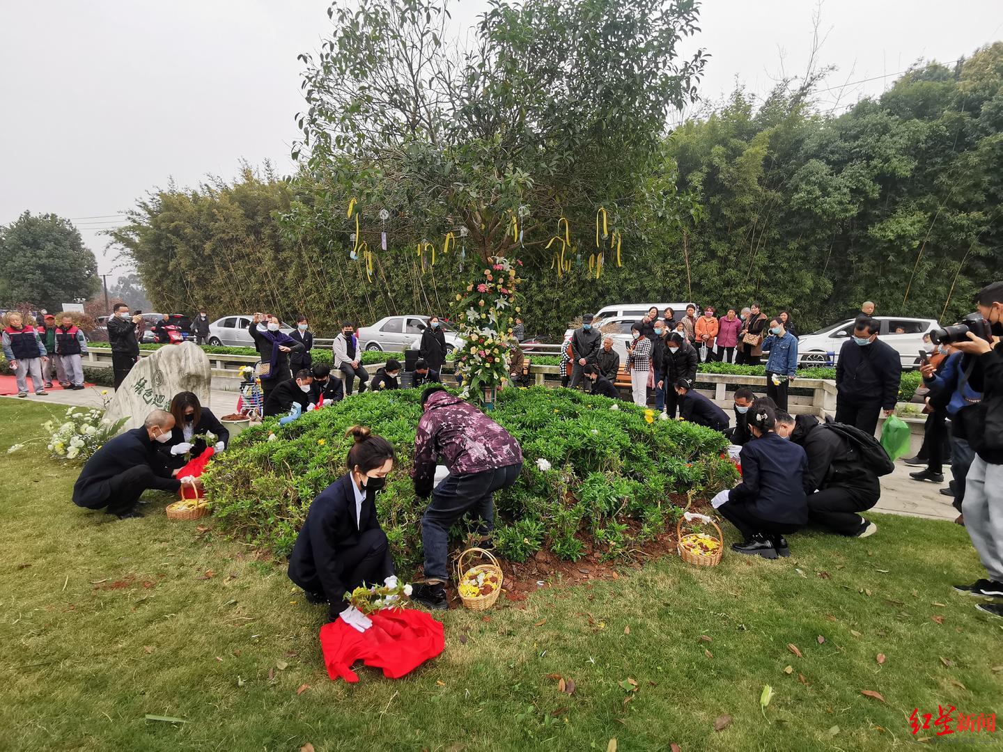 以树为碑与花草为伴成都8位逝者清明节前集体公益生态树葬