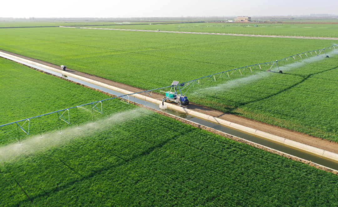 在河南省西平县老王坡高标准农田,平移喷灌机正在对冬小麦进行春灌.