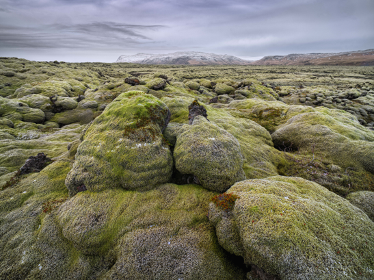 　　摄影师 Hans Strand 拍摄