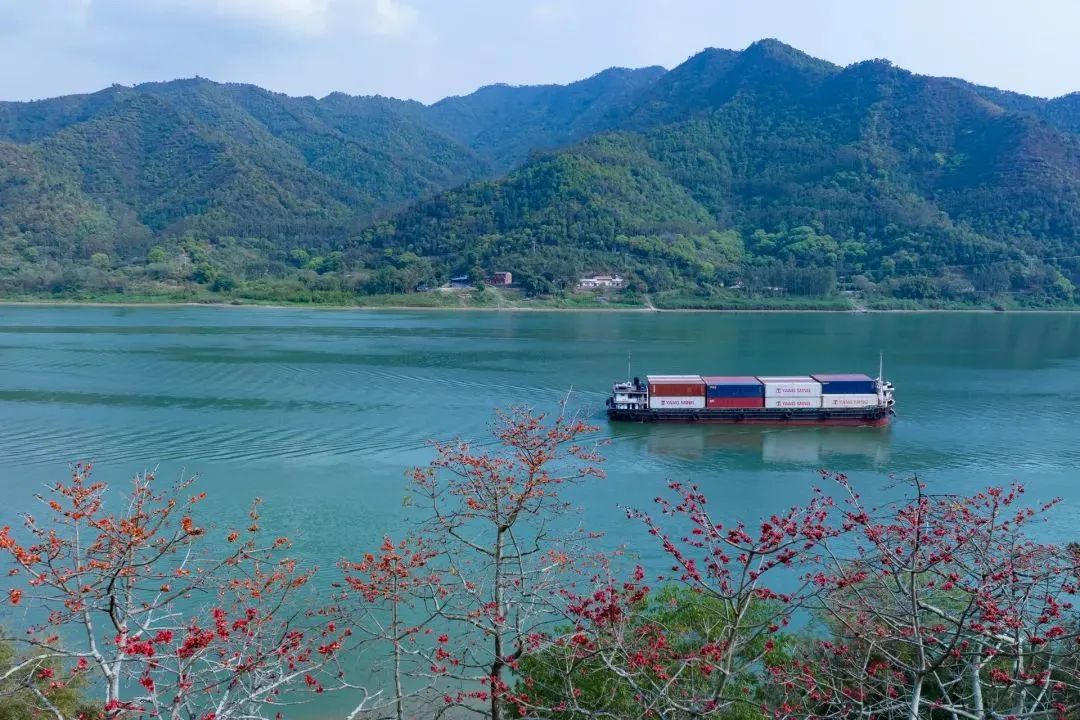 春分不负肇庆好春光