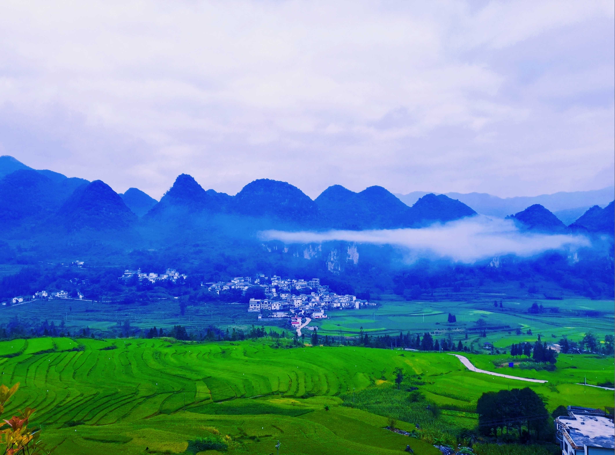 镜头丨春分|六盘水市_新浪新闻