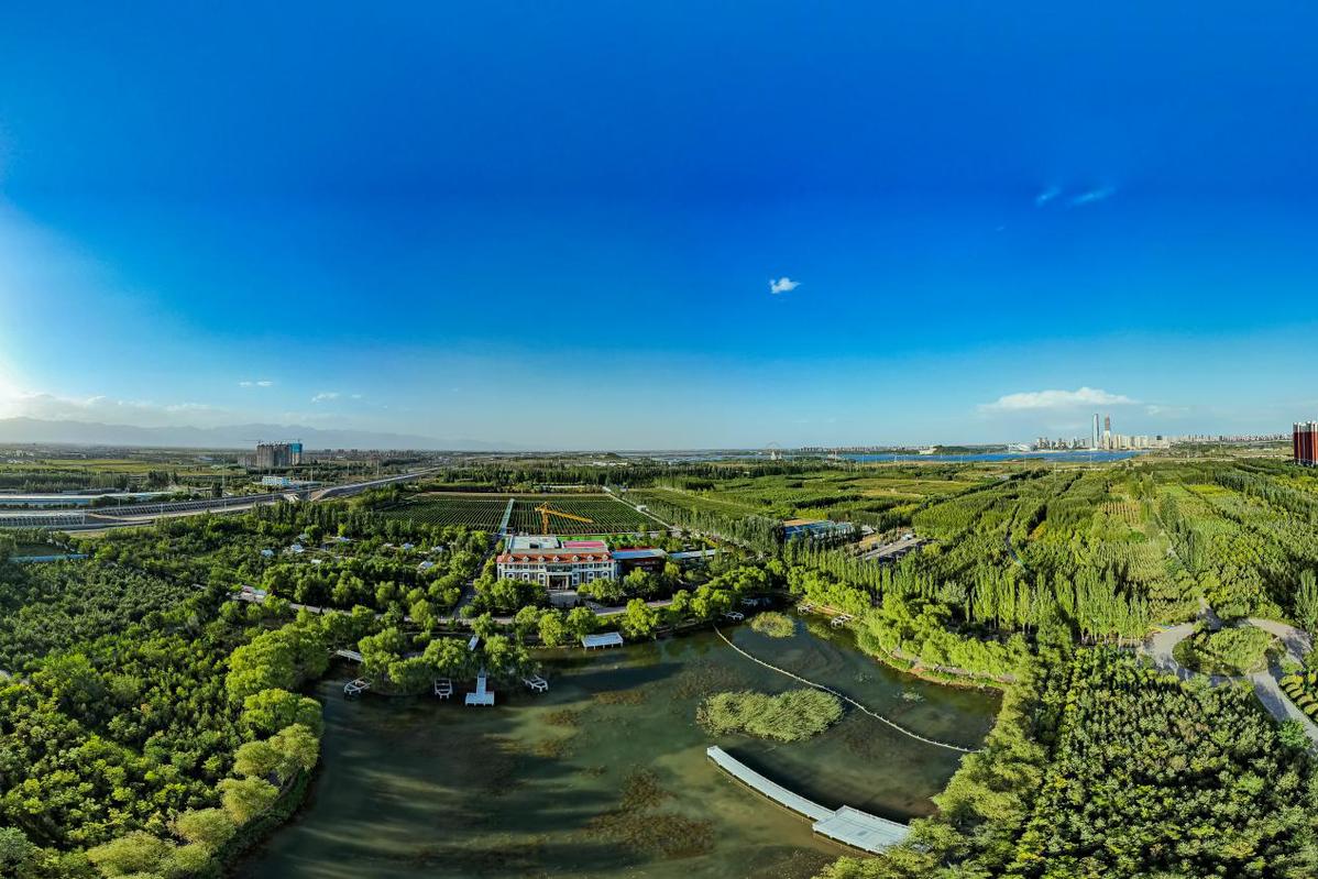 宁夏银川:探索"葡萄酒 文旅"融合新路径 打造全球葡萄酒旅游度假村