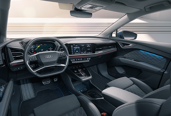 Mutual benefit and win-win sincerity strikes Audi Q4 e-tron dimensionality reduction attack