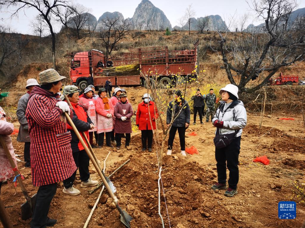 刘素云在庄上村给群众讲解山茱萸种植技术.新华社记者杜一方 摄