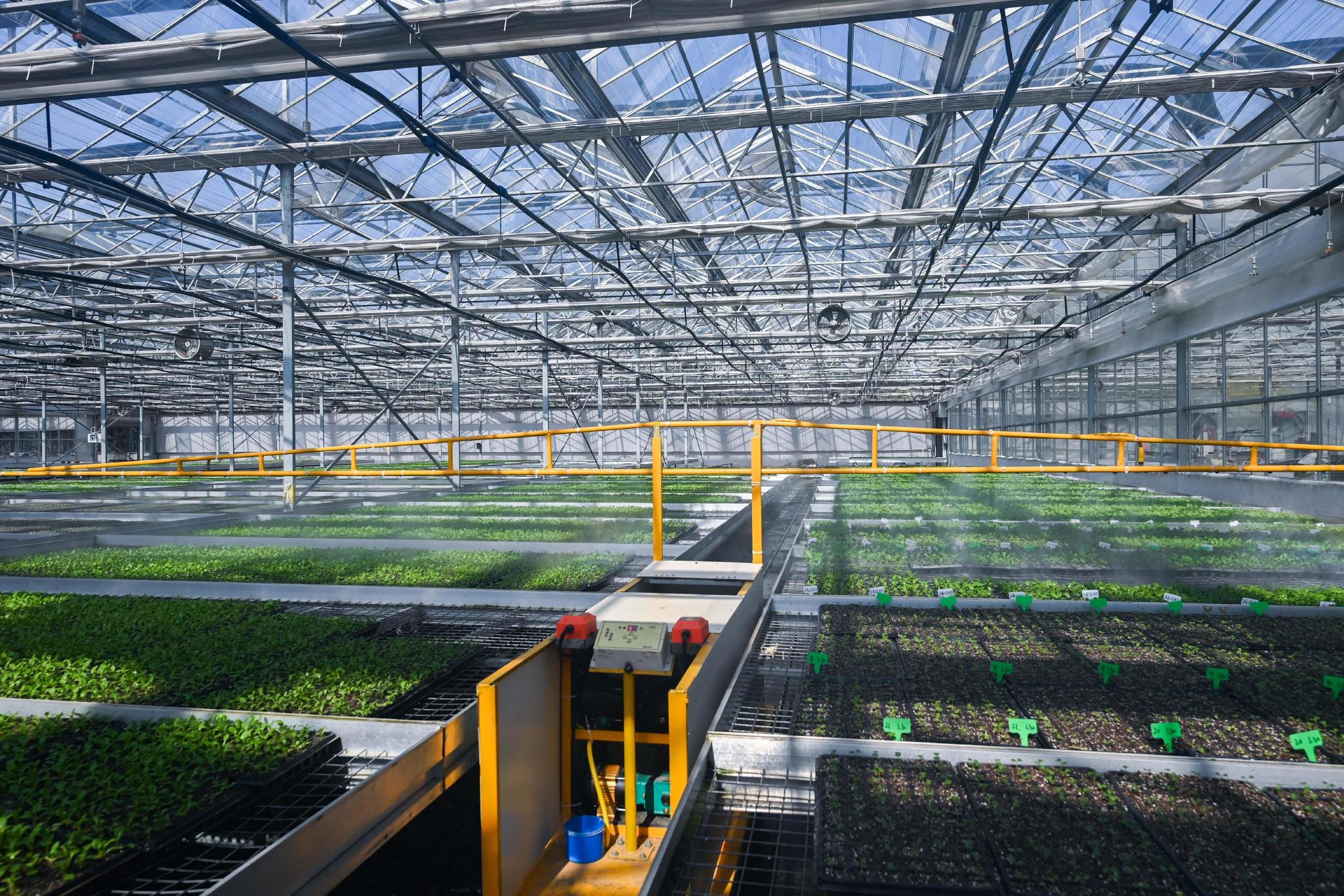 2月15日,在浙江省嘉兴市南湖区凤桥镇一个有机农业园的育苗大棚内