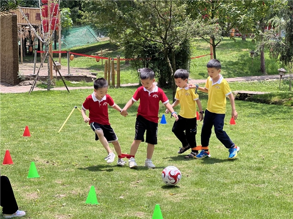 　　(来源：新视线)