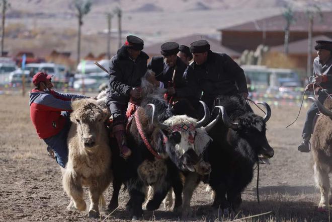 　　喀什地区摄影家协会邹斌