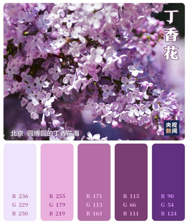 色卡里的春天,快来看!