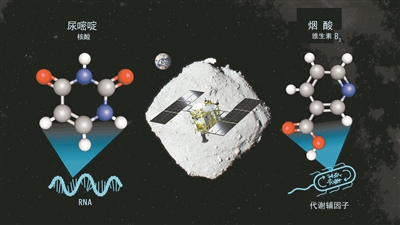 隼鸟2号在小行星“龙宫”上采集的样本中含有尿嘧啶和维生素B_3成分（概念图）。图片来源：NASA官网