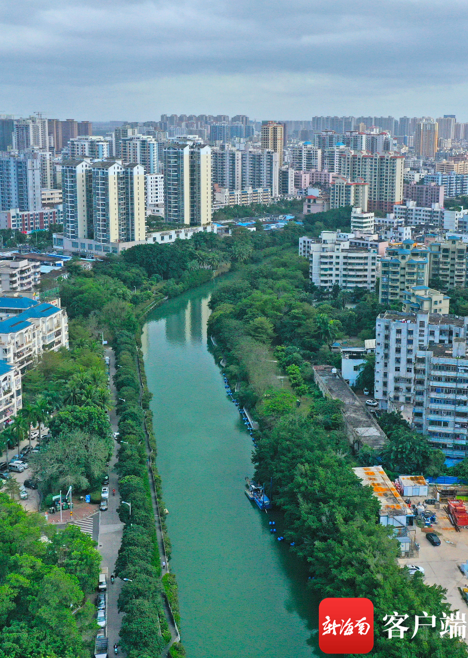 贯穿海口主城区南北16公里的美舍河凤翔湿地公园已成为市民游憩休闲