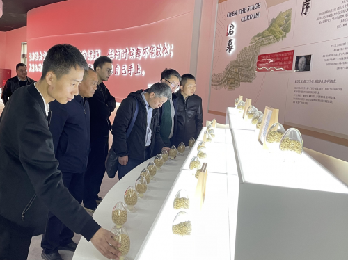 　　图为粮科院专家参观潍坊市寒亭区万亩海水稻种植基地