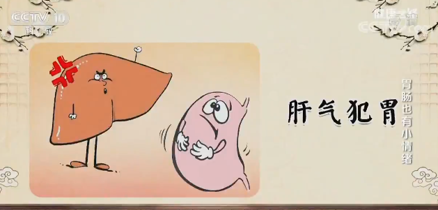 "别让坏情绪影响了你的胃|小羊_新浪财经_新浪网