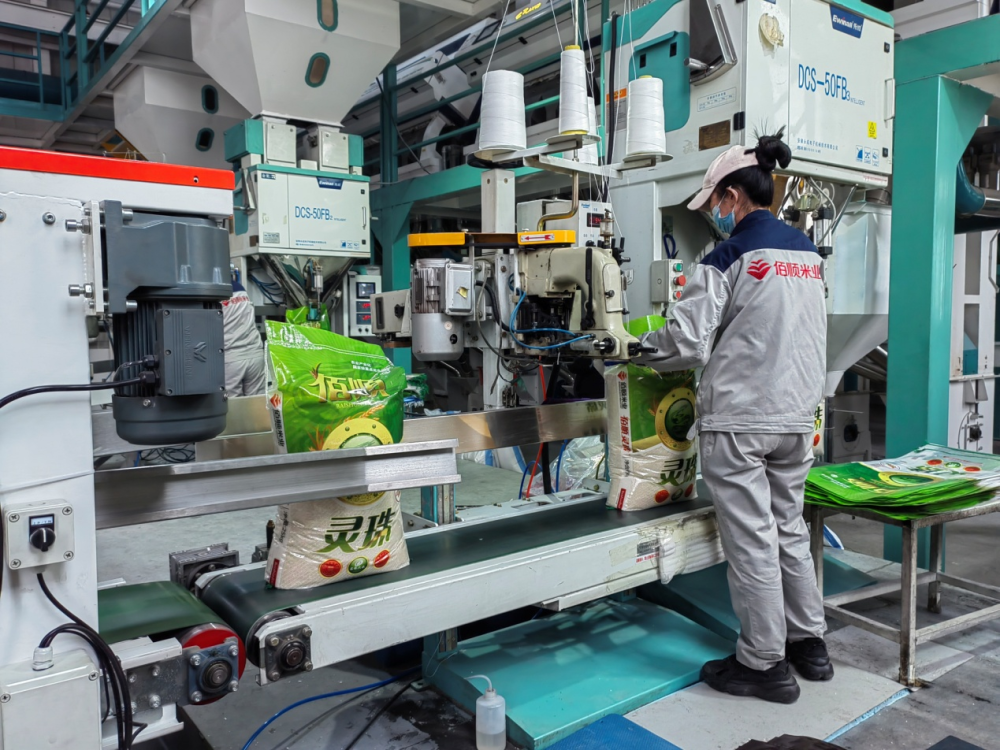 吉林省松江百顺米业有限公司加工车间内,工人在大米加工生产线上忙碌.