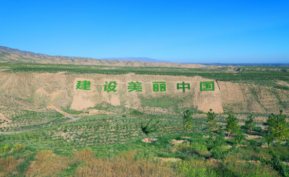 凉州区南部山区国储林建设绿意渐浓&nbsp;(吴剑斌摄)