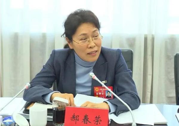 北京市副市长女老虎图片