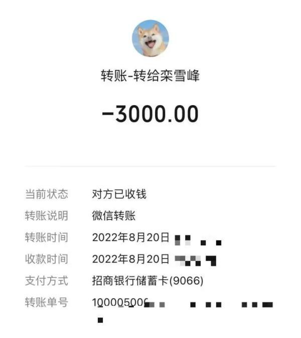 3000转账记录图片图片