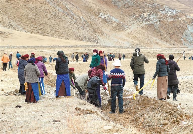 图为墨竹工卡县甲玛乡的农民在田间开展清沟,开沟等春耕工作.