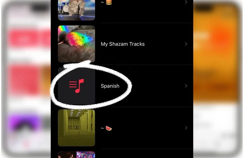 Apple Music 用户反馈：在曲库中发现来自他人的播放列表