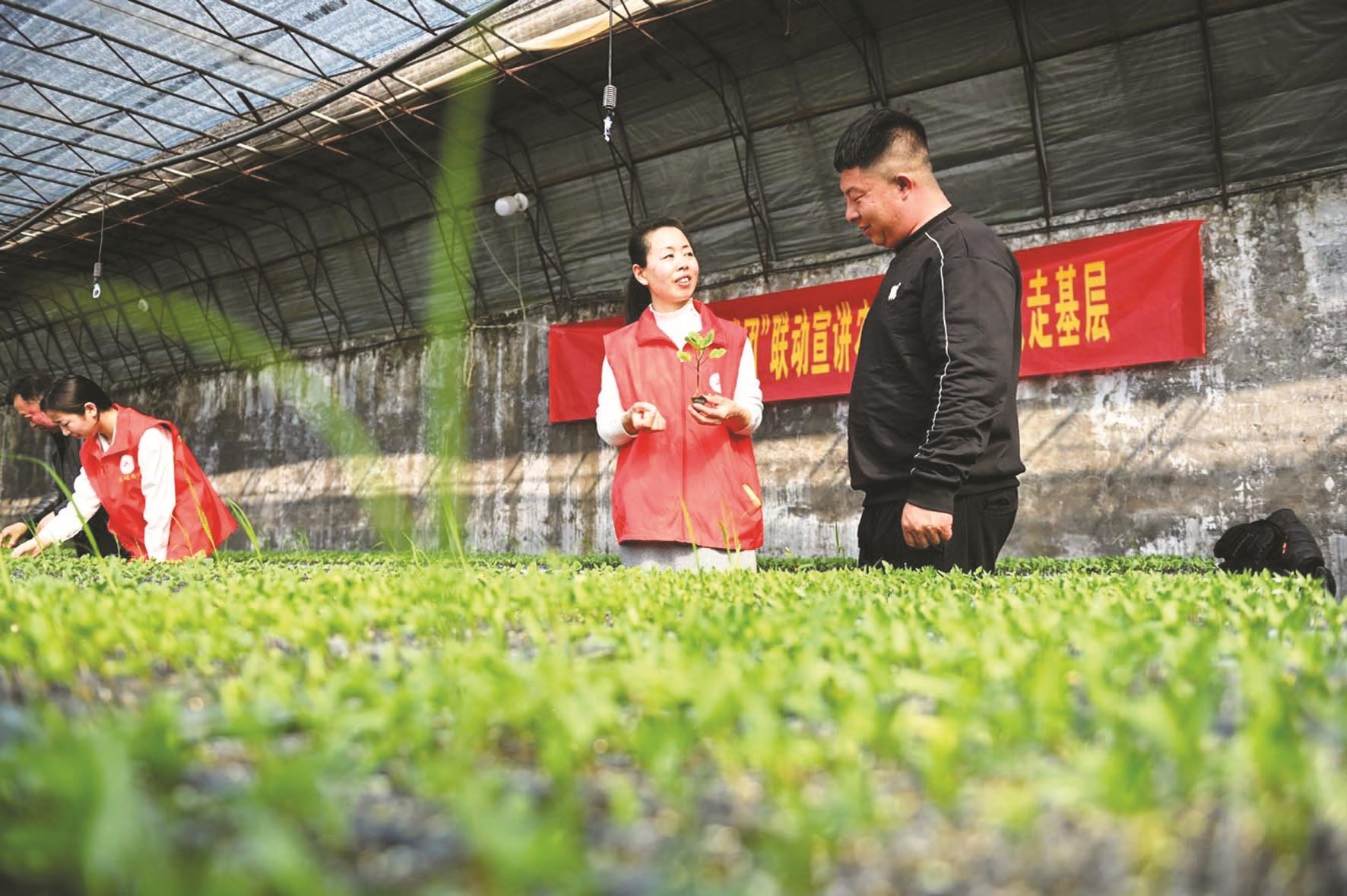 鸡泽县依托当地农业优势