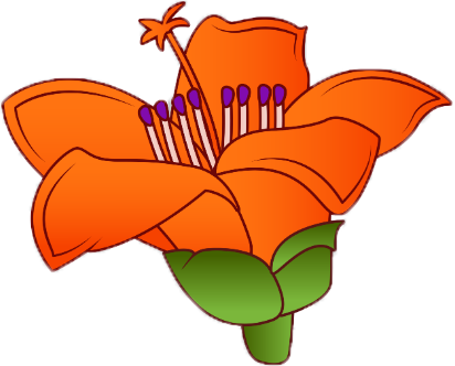 还在路边捡木棉花煲汤?且慢!不是所有人都能喝|材料_新浪财经_新浪网