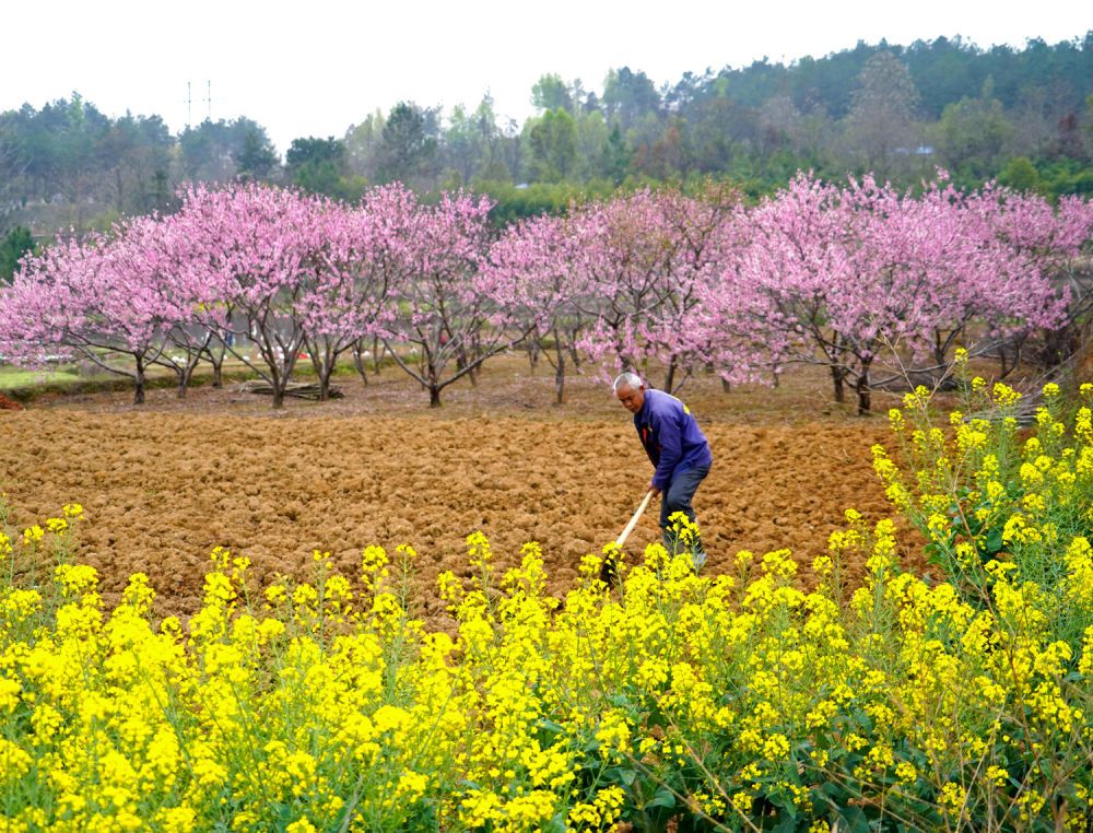 2023年3月21日,湖南省衡阳市祁东县双桥镇丁塘村,农民在田间翻土整