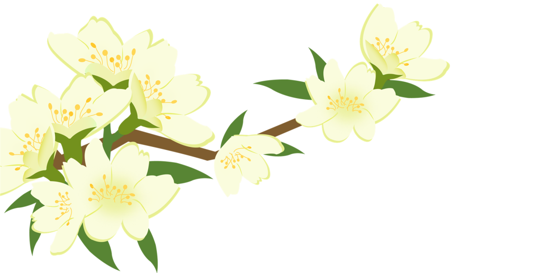 　　多面“10”力派之碳路先行者