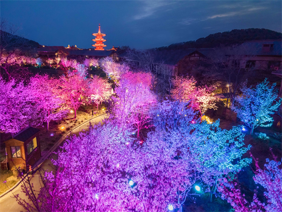 　　(来源：东方网)