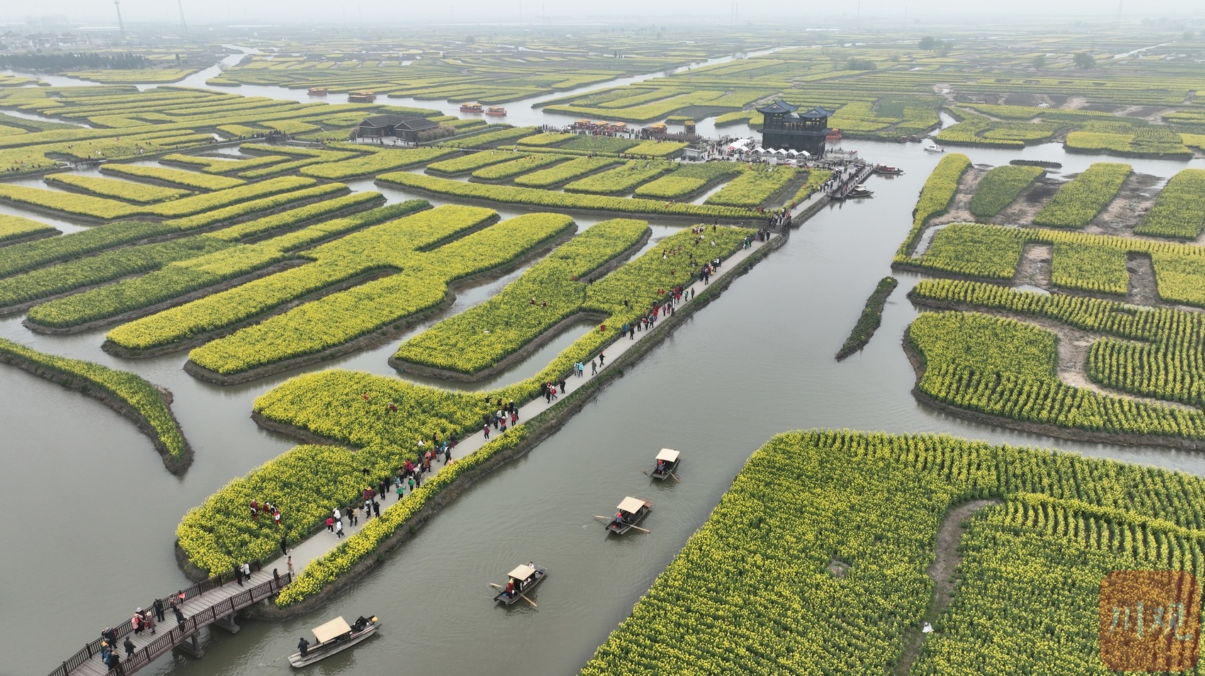 C视频|水润中国•对话世界灌溉遗产|“垛”上花开_新浪财经_新浪网
