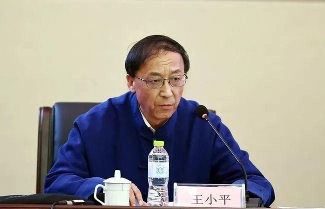王小平(网络资料图)