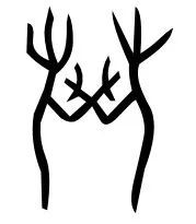 　　甲骨文中的“斗”子