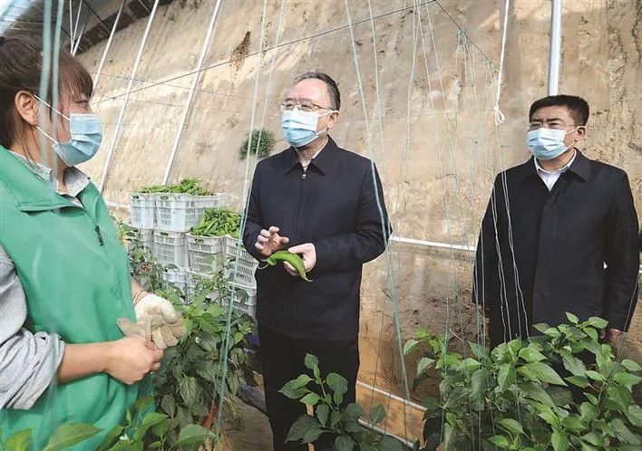 走进普明镇温室大棚,与农技人员,务工农民亲切交谈,询问蔬菜产量,价格