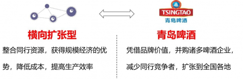 　　(图2：青岛啤酒的横向扩张型模式)