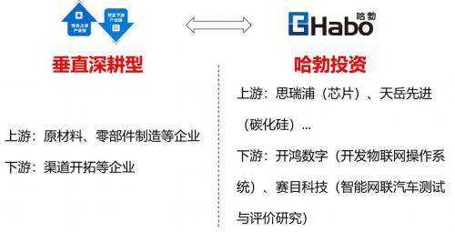 　　(图3：哈勃投资的垂直深耕型模式)